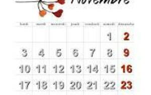 Calendrier des Tournois du BCV Novembre 2025