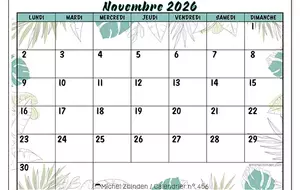 Calendrier des Tournois du BCV novembre 2026