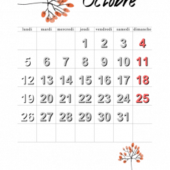 Calendrier des Tournois du BCV octobre 2026